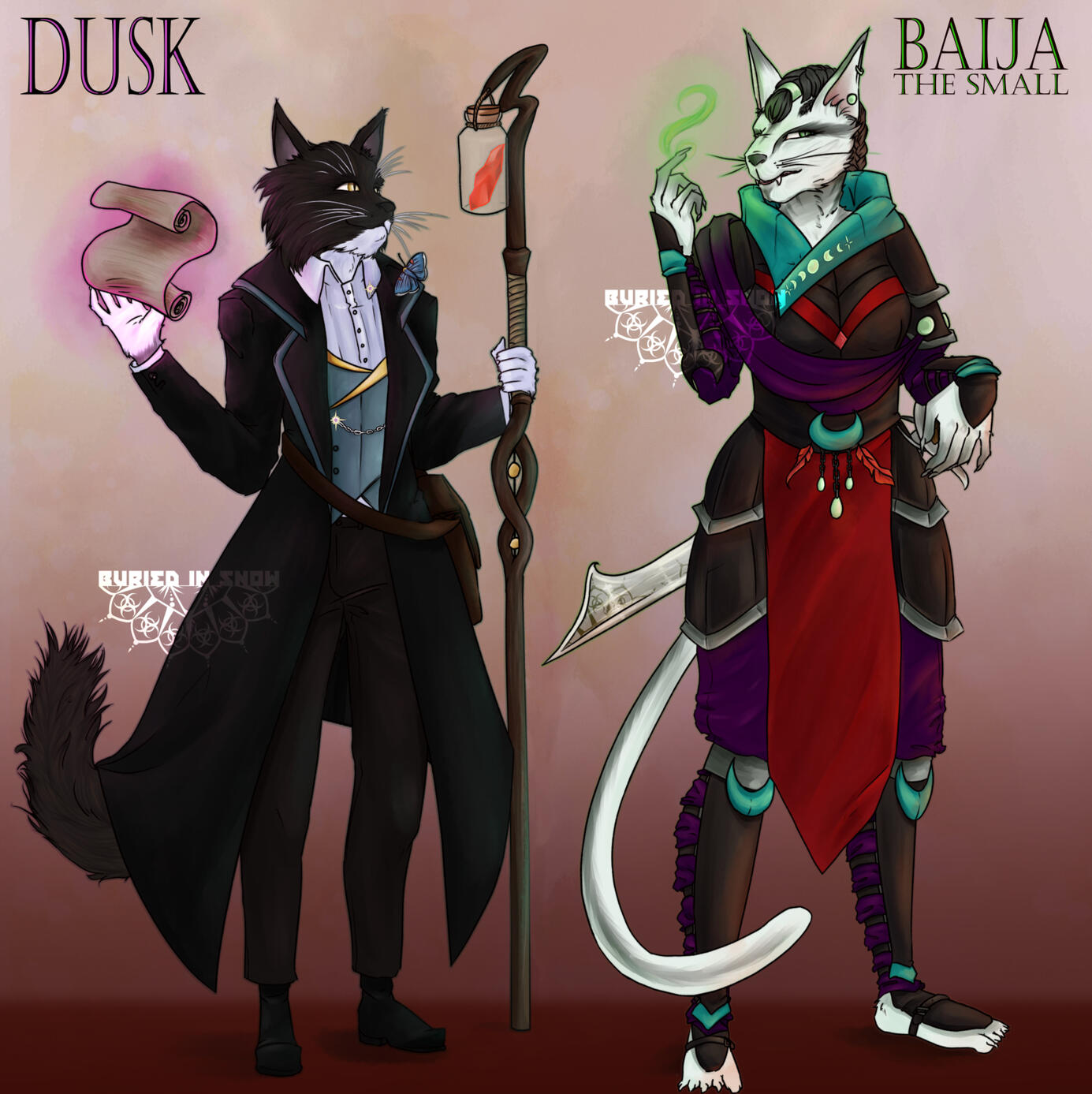 Tabaxi Character Designs